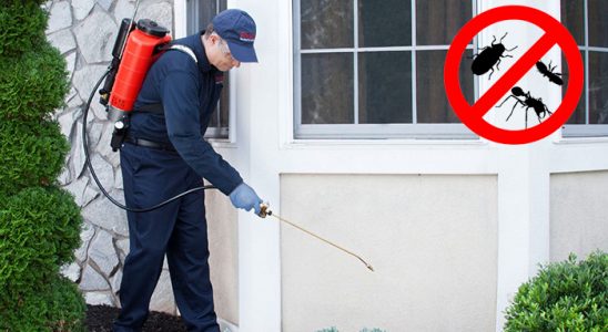 Çorlu Dezenfeksiyon böcek ilaçlama ve haşere kontrolü — ilaclama-tr.com